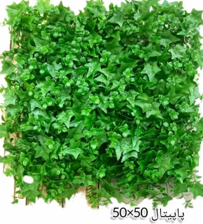 گرین وال پاپیتال 50*50
