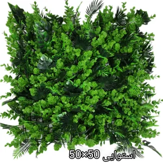 گرین وال استوایی 50*50