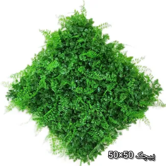 گرین وال پیچک 50*50