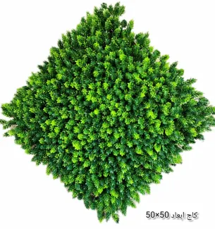 گرین وال کاج 50*50