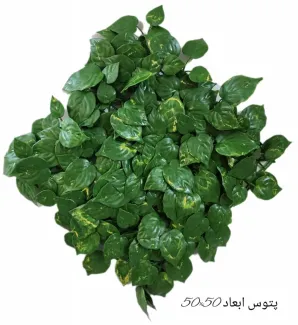 گرین وال پتوس 50*50