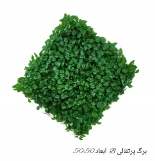 گرین وال برگ پرتقالی B 50*50