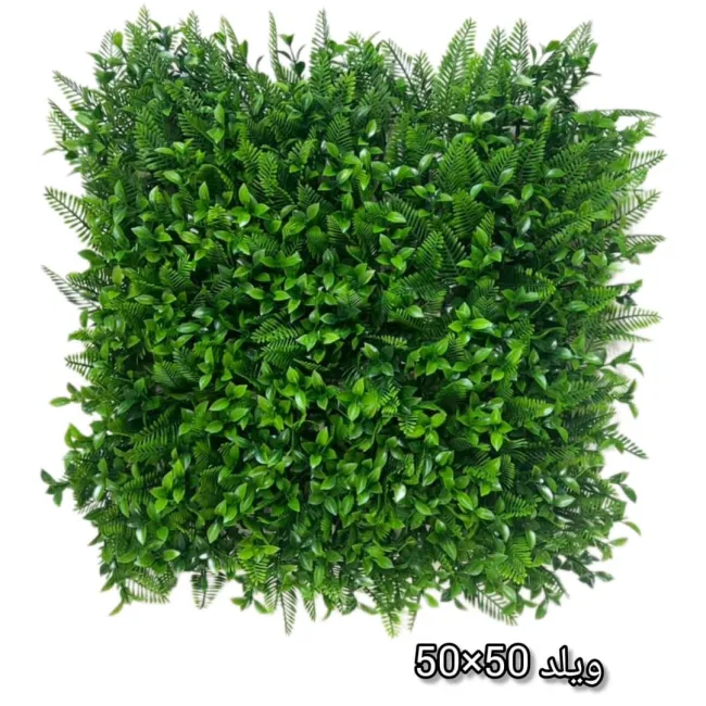 گرین وال ویلد 50*50