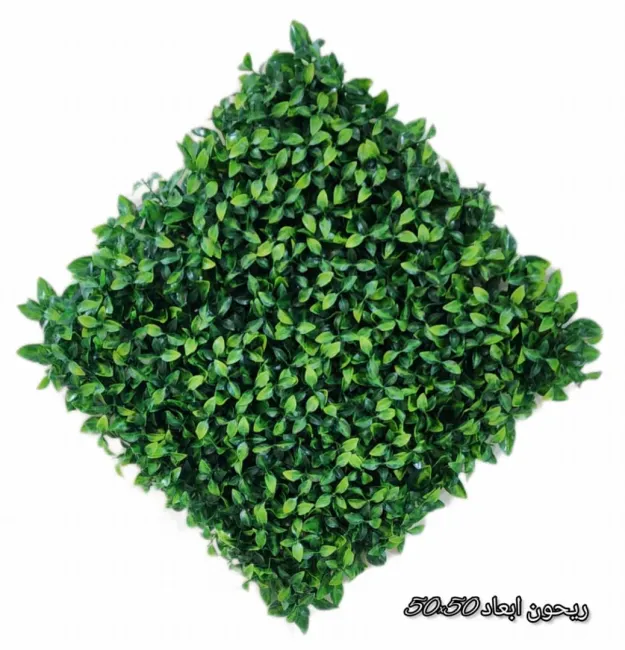 گرین وال برگ ریحون 50*50