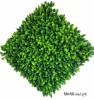گرین وال کاج 50*50