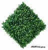 گرین وال برگ ریحون 50*50